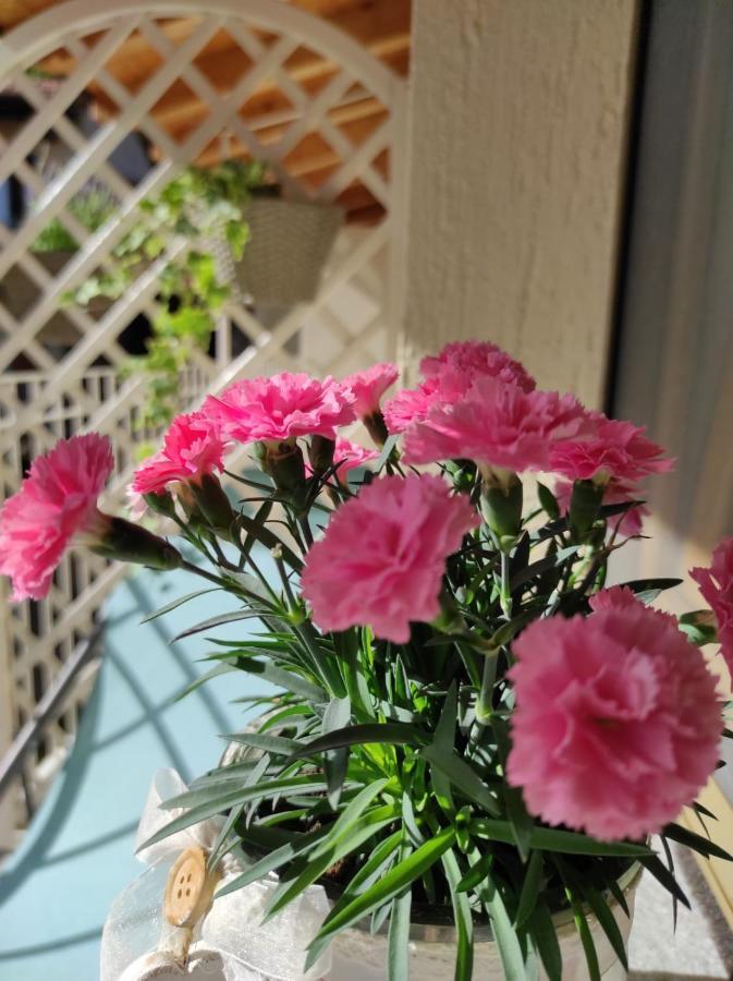 Le Farfalle Di Bed and breakfast Armeno